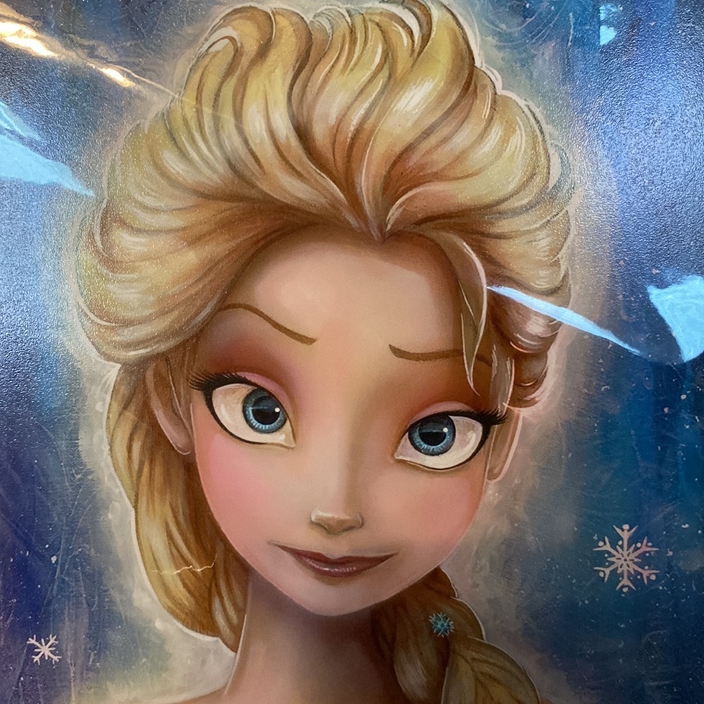 Elsa Fade Art Work Darren Wilson Disney Ready for Framing - Picture 4 of 12